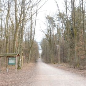 Bruderwald bruderwald bamberg 1 280x280 - Bruderwald