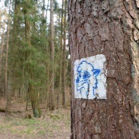 Bruderwald bruderwald bamberg 5 280x280 - Bruderwald