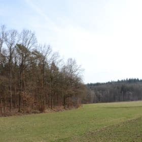 Bruderwald bruderwald bamberg 7 280x280 - Bruderwald