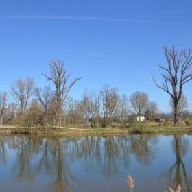 Galgenfuhr galgenfuhr bamberg 4 280x280 - Galgenfuhr