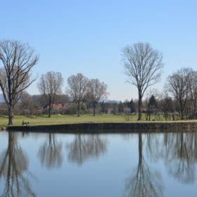 Galgenfuhr galgenfuhr bamberg 5 280x280 - Galgenfuhr