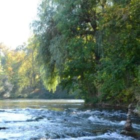 Hainpark – Leben an und mit der Regnitz hain bamberg 003 280x280 - Hainpark – Leben an und mit der Regnitz