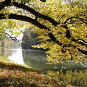 Hainpark – Leben an und mit der Regnitz hain bamberg 005 280x280 - Hainpark – Leben an und mit der Regnitz