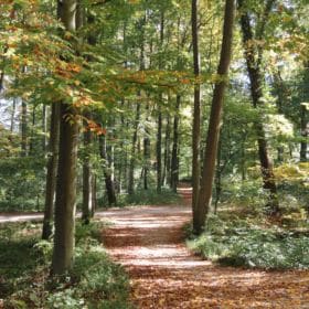 Hainpark – Leben an und mit der Regnitz hain bamberg 007 280x280 - Hainpark – Leben an und mit der Regnitz