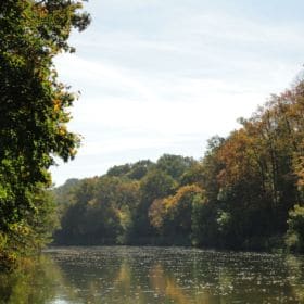 Hainpark – Leben an und mit der Regnitz hain bamberg 008 280x280 - Hainpark – Leben an und mit der Regnitz