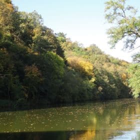 Hainpark – Leben an und mit der Regnitz hain bamberg 009 280x280 - Hainpark – Leben an und mit der Regnitz
