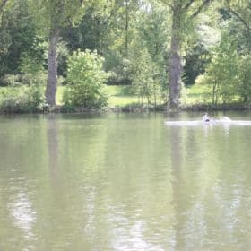 Hainpark – Leben an und mit der Regnitz hain bamberg 011 280x280 - Hainpark – Leben an und mit der Regnitz