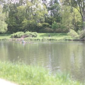 Hainpark – Leben an und mit der Regnitz hain bamberg 012 280x280 - Hainpark – Leben an und mit der Regnitz