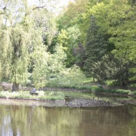 Hainpark – Leben an und mit der Regnitz hain bamberg 014 280x280 - Hainpark – Leben an und mit der Regnitz