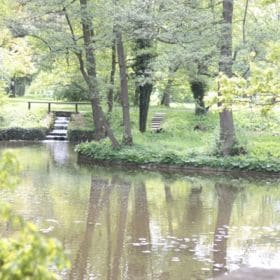 Hainpark – Leben an und mit der Regnitz hain bamberg 015 280x280 - Hainpark – Leben an und mit der Regnitz