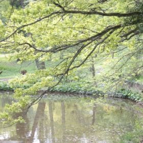 Hainpark – Leben an und mit der Regnitz hain bamberg 016 280x280 - Hainpark – Leben an und mit der Regnitz