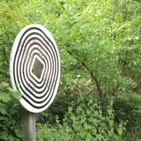 Hainpark – Leben an und mit der Regnitz hain bamberg 024 280x280 - Hainpark – Leben an und mit der Regnitz