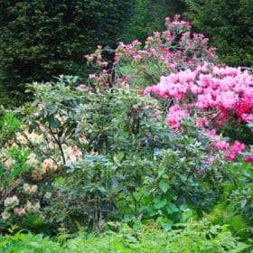 Hainpark – Leben an und mit der Regnitz hain bamberg 026 280x280 - Hainpark – Leben an und mit der Regnitz