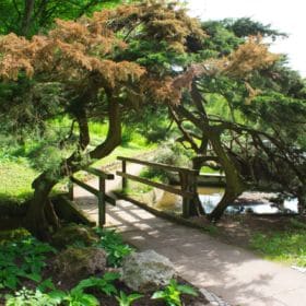 Hainpark – Leben an und mit der Regnitz hain bamberg 031 280x280 - Hainpark – Leben an und mit der Regnitz