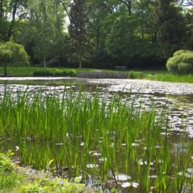 Hainpark – Leben an und mit der Regnitz hain bamberg 033 280x280 - Hainpark – Leben an und mit der Regnitz