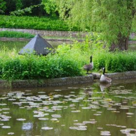 Hainpark – Leben an und mit der Regnitz hain bamberg 034 280x280 - Hainpark – Leben an und mit der Regnitz