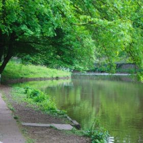Hainpark – Leben an und mit der Regnitz hain bamberg 035 280x280 - Hainpark – Leben an und mit der Regnitz