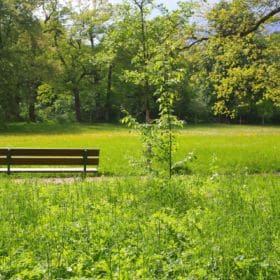 Hainpark – Leben an und mit der Regnitz hain bamberg 038 280x280 - Hainpark – Leben an und mit der Regnitz