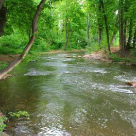 Hainpark – Leben an und mit der Regnitz hain bamberg 040 280x280 - Hainpark – Leben an und mit der Regnitz