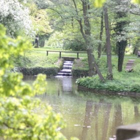 Hainpark – Leben an und mit der Regnitz hain bamberg 280x280 - Hainpark – Leben an und mit der Regnitz