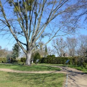 hauptfriedhof bamberg 010 280x280 - Friedhof Bamberg