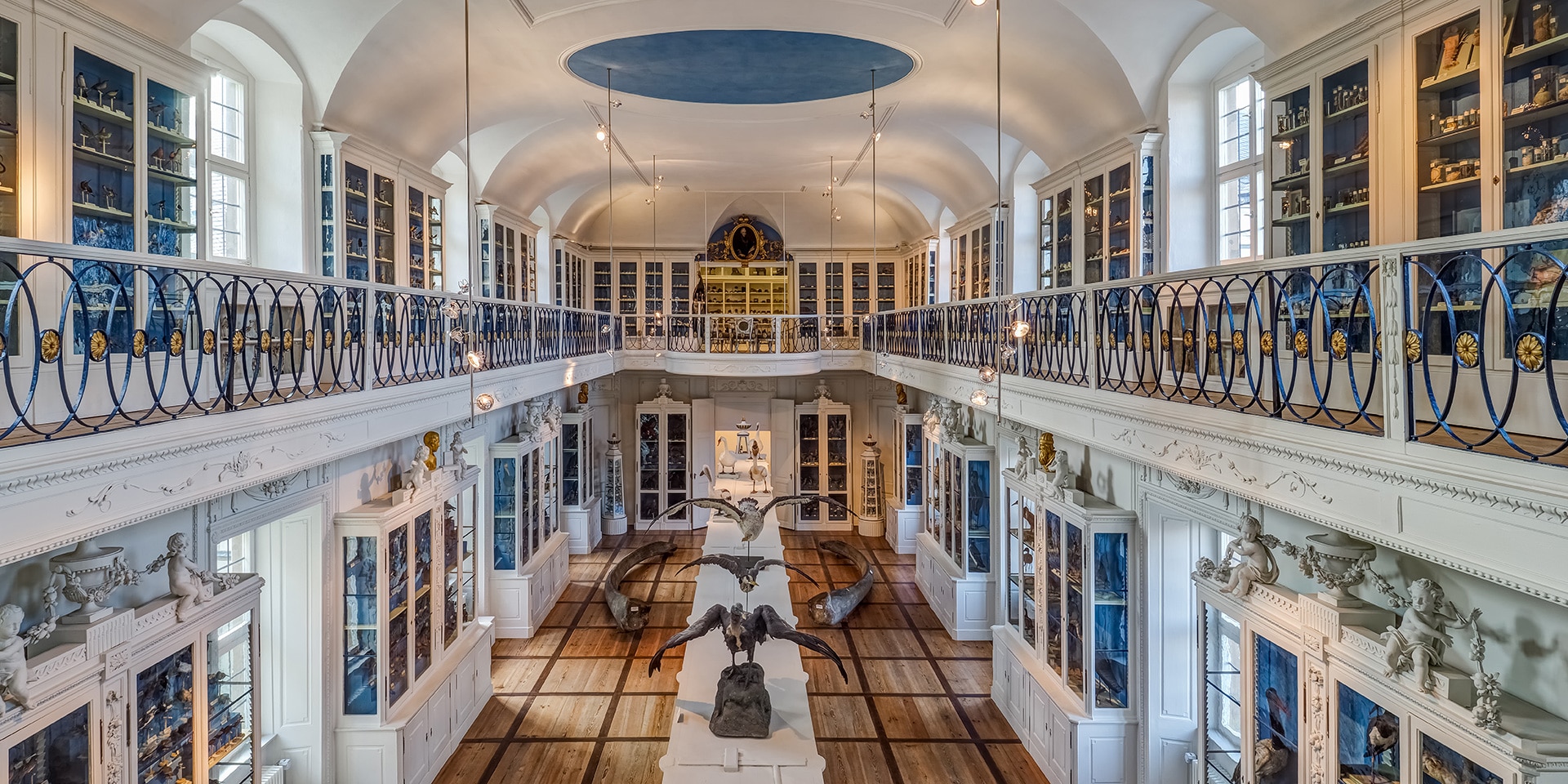 naturkundemuseum bamberg